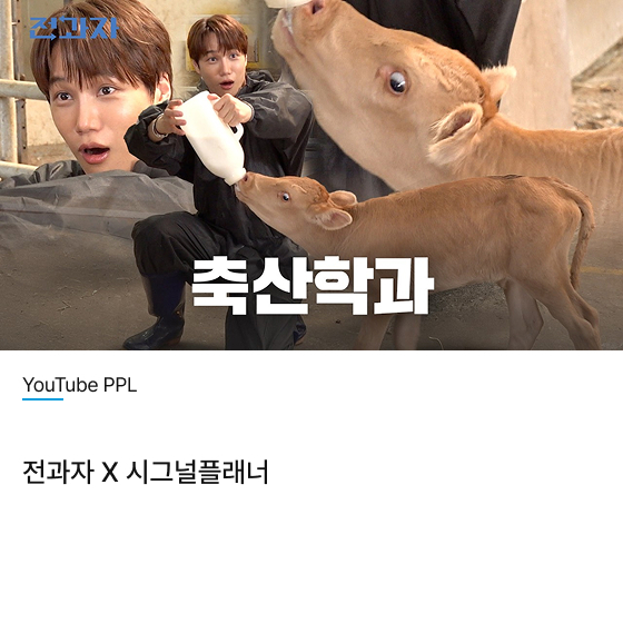 YouTube 전과자 Χ 시그널플래너